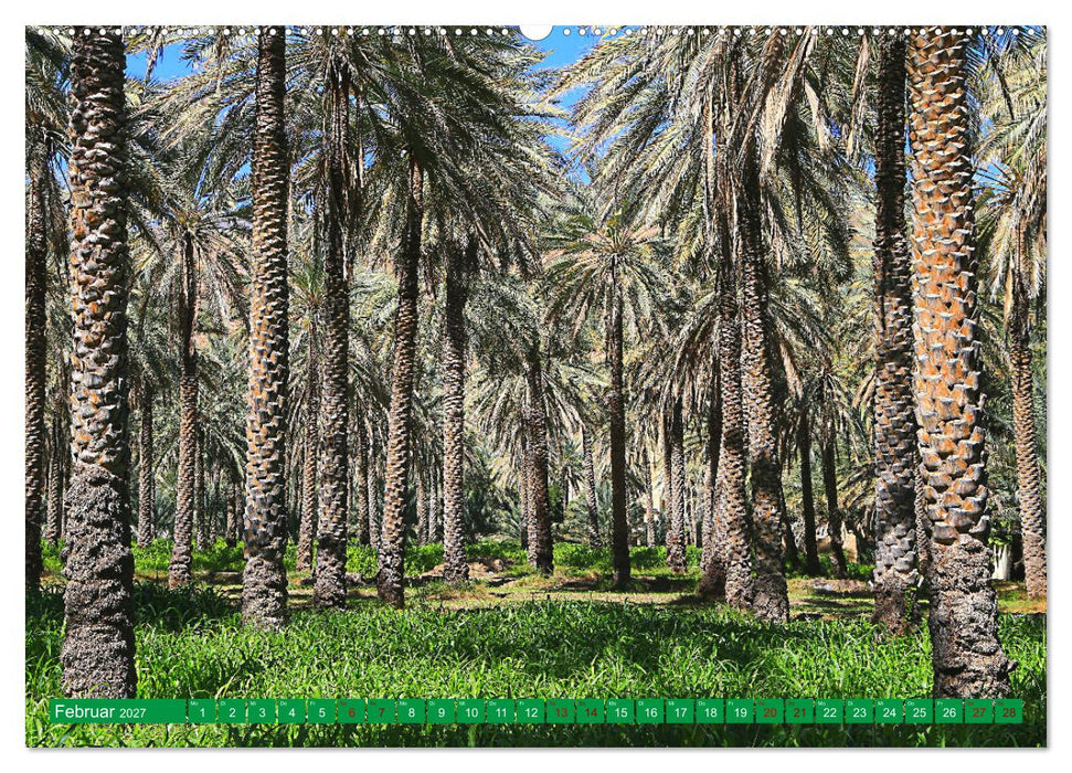 Unterwegs im Weihrauchland Oman (CALVENDO Wandkalender 2027)