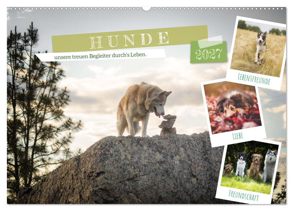 Hunde, unsere treuen Begleiter durch's Leben. (CALVENDO Wandkalender 2027)