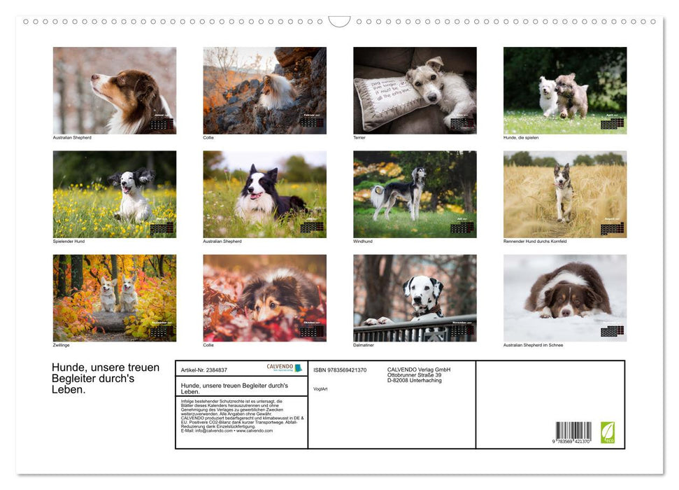 Hunde, unsere treuen Begleiter durch's Leben. (CALVENDO Wandkalender 2027)
