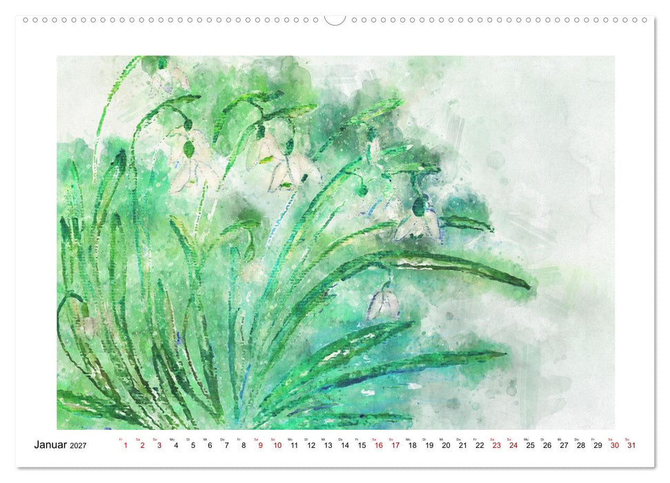 Blüten & Blumen Aquarelle - Farbenfrohe Schönheiten (CALVENDO Premium Wandkalender 2027)