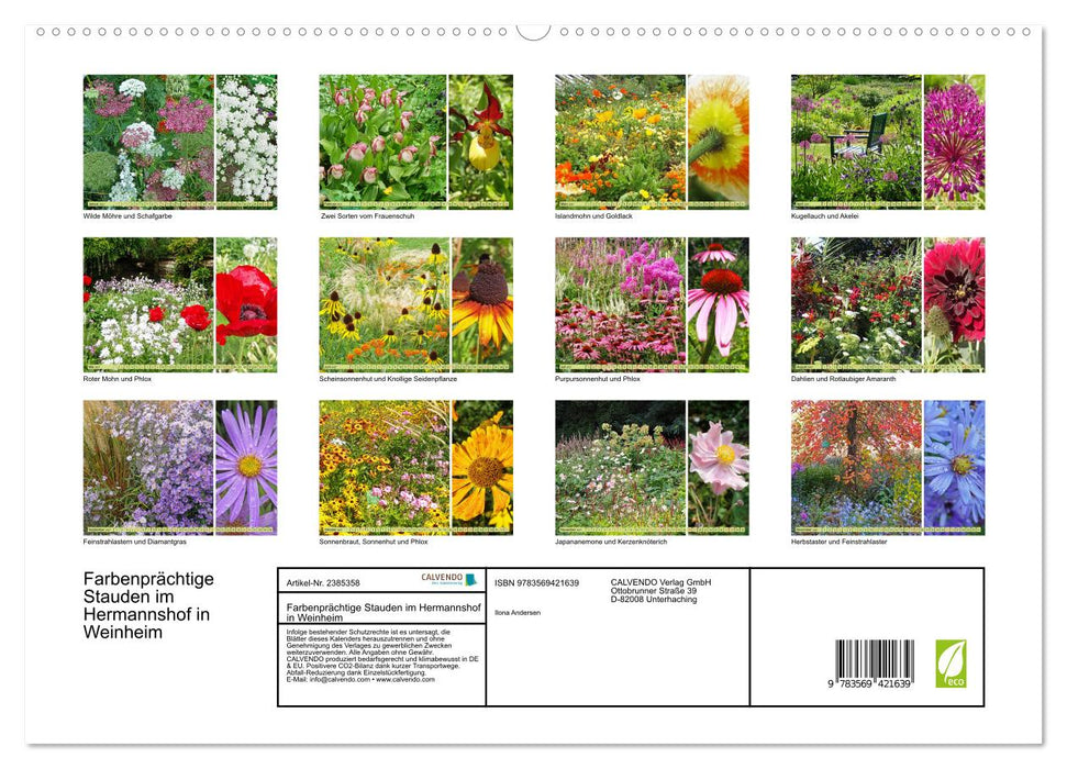 Farbenprächtige Stauden im Hermannshof in Weinheim (CALVENDO Premium Wandkalender 2027)