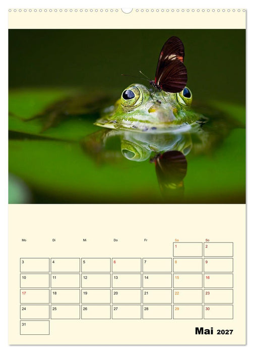 Lustig verrückt - der Tierkalender (CALVENDO Premium Wandkalender 2027)