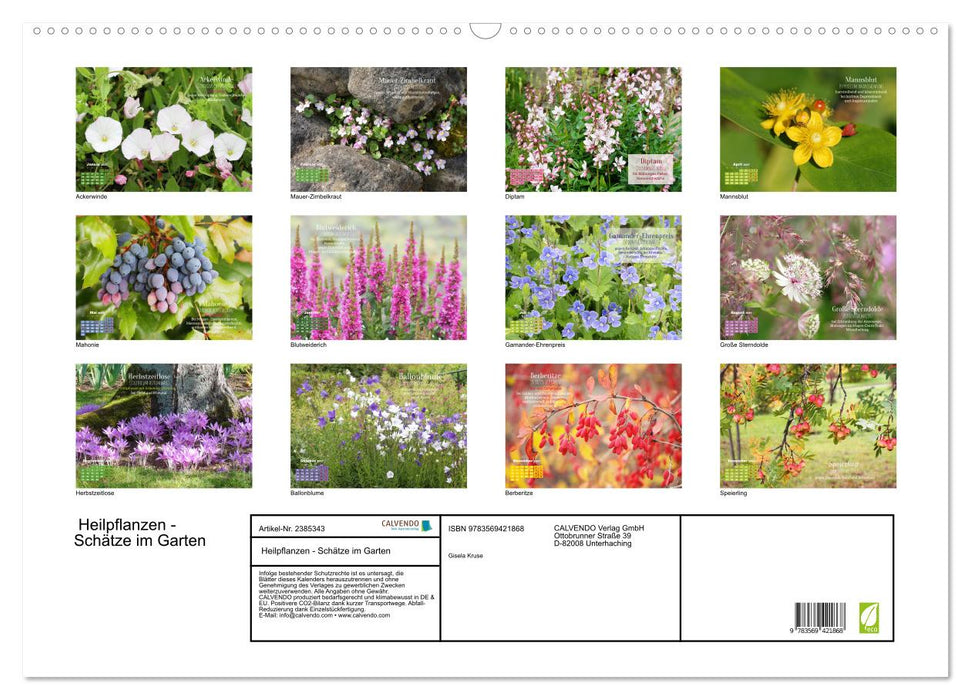 Heilpflanzen - Schätze im Garten (CALVENDO Wandkalender 2027)