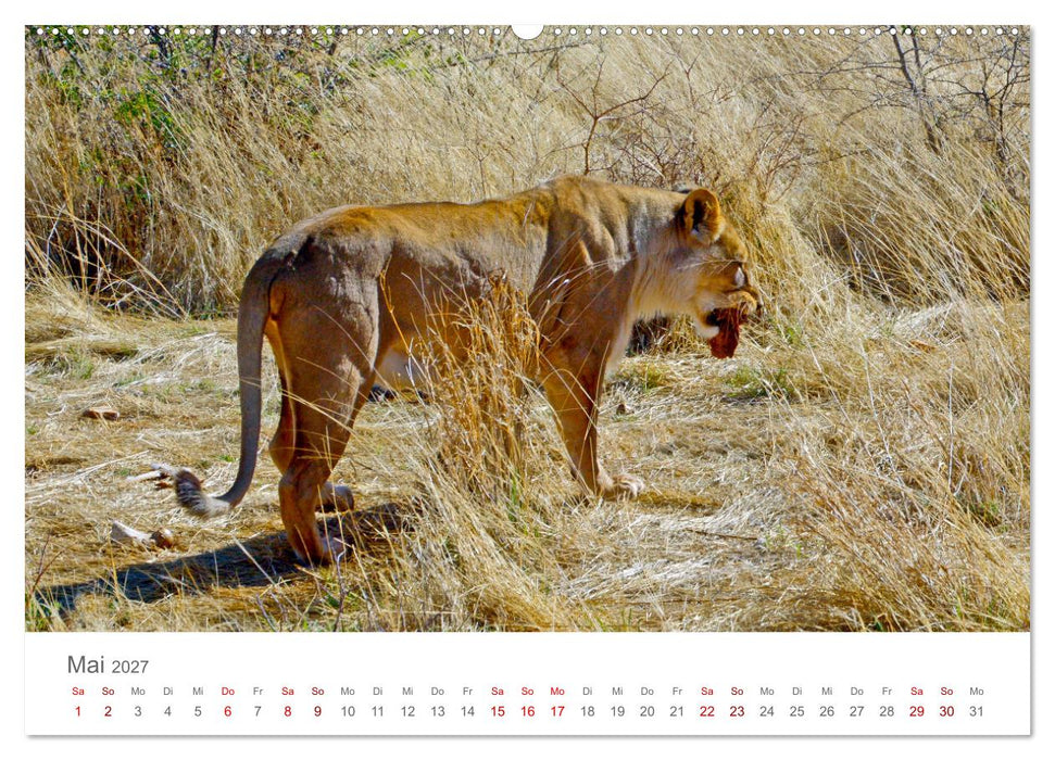 Namibia - Land im Süden Afrikas (CALVENDO Premium Wandkalender 2027)