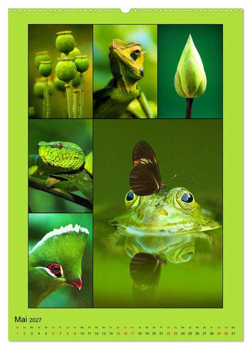 Farbsymphonien der Natur (CALVENDO Premium Wandkalender 2027)
