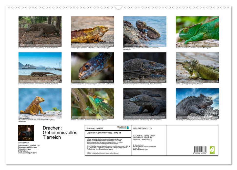Drachen: Geheimnisvolles Tierreich (CALVENDO Wandkalender 2027)