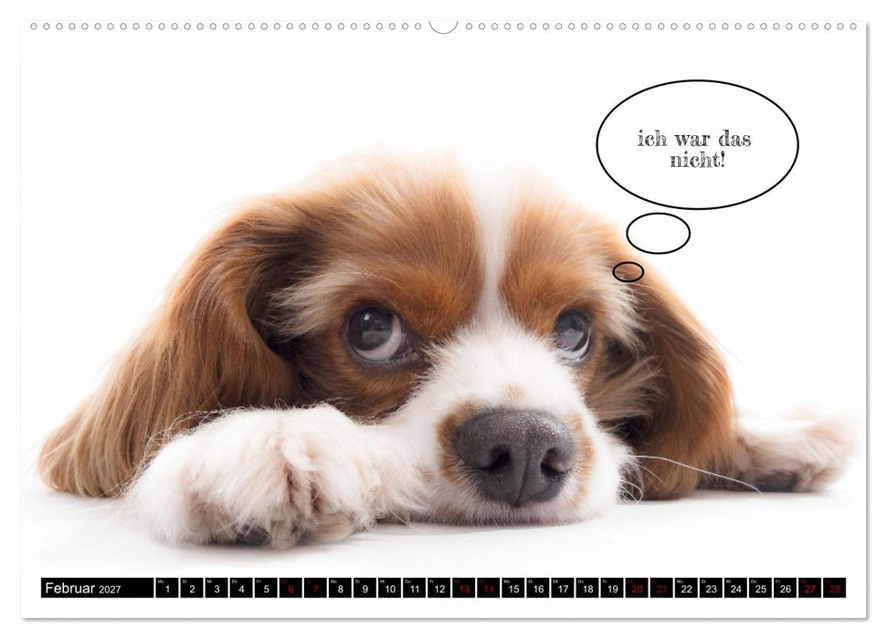 Hundeportraits, Hunde sind unsere besten Freunde by VogtArt (CALVENDO Wandkalender 2027)