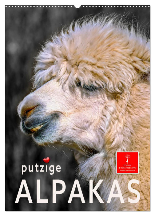 Putzige Alpakas (CALVENDO Wandkalender 2027)