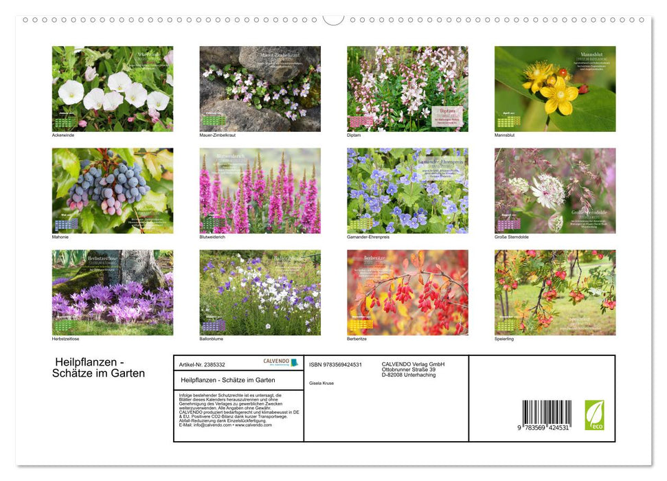 Heilpflanzen - Schätze im Garten (CALVENDO Premium Wandkalender 2027)