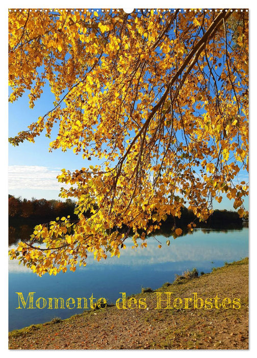 Momente des Herbstes (CALVENDO Wandkalender 2027)
