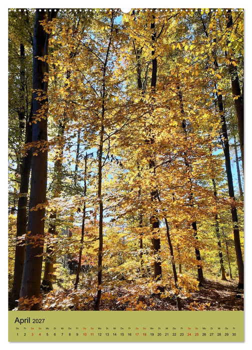 Momente des Herbstes (CALVENDO Wandkalender 2027)