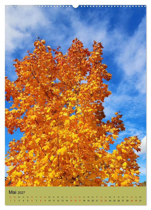 Momente des Herbstes (CALVENDO Wandkalender 2027)