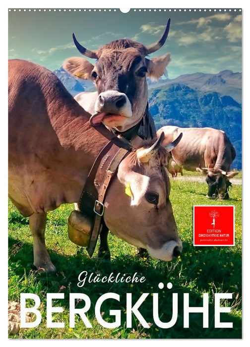 Glückliche Bergkühe (CALVENDO Wandkalender 2027)