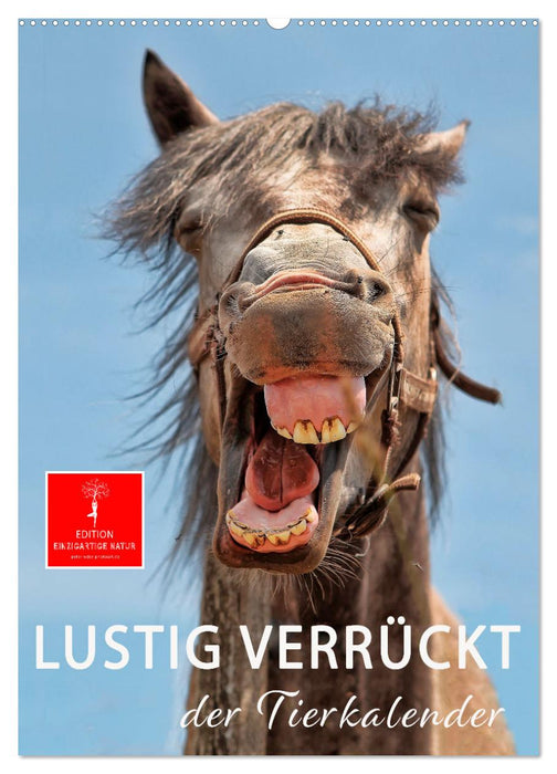 Lustig verrückt - der Tierkalender (CALVENDO Wandkalender 2027)