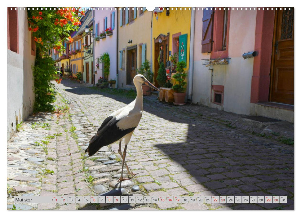 Frankreichs idyllische Dörfer (CALVENDO Premium Wandkalender 2027)