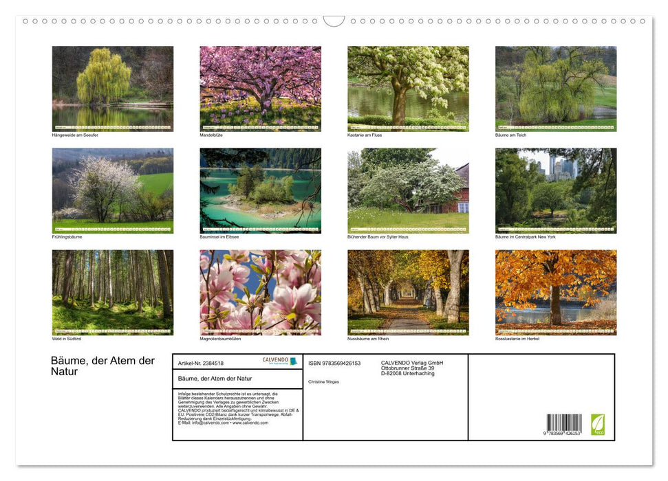 Bäume, der Atem der Natur (CALVENDO Wandkalender 2027)