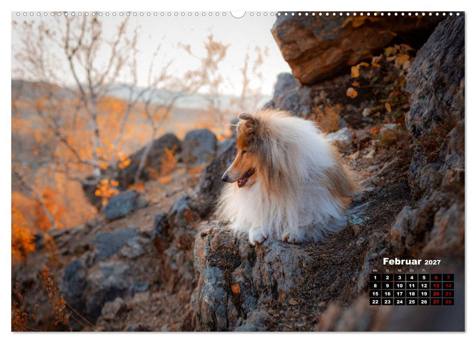 Hunde, unsere treuen Begleiter durch's Leben. (CALVENDO Premium Wandkalender 2027)