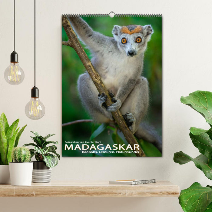 MADAGASKAR: Baobabs, Lemuren, Naturwunder (CALVENDO Wandkalender 2027)