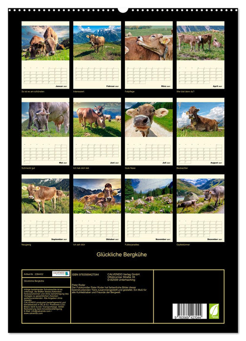Glückliche Bergkühe (CALVENDO Premium Wandkalender 2027)