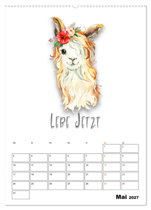 Bleib cool - Gute-Laune-Kalender (CALVENDO Wandkalender 2027)