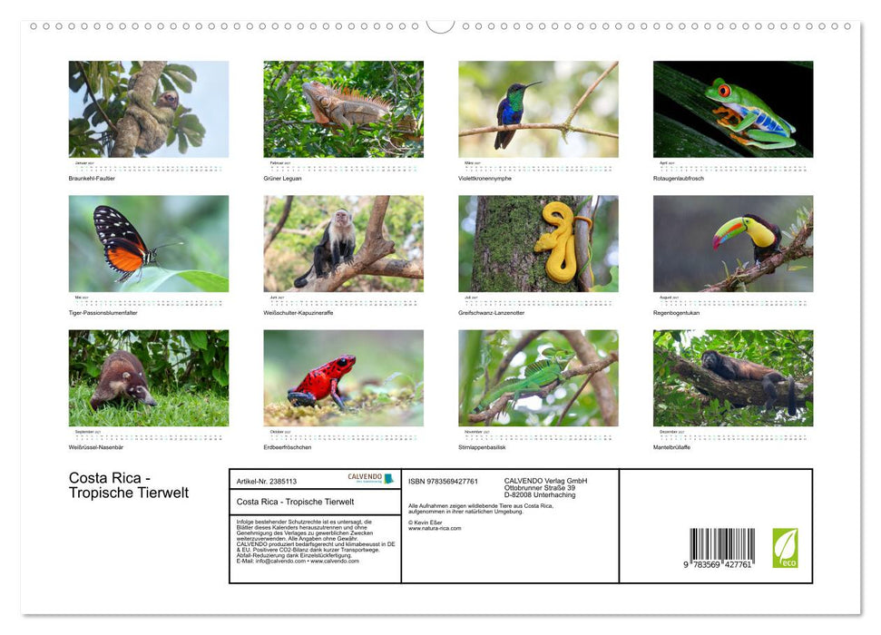 Costa Rica - Tropische Tierwelt (CALVENDO Premium Wandkalender 2027)