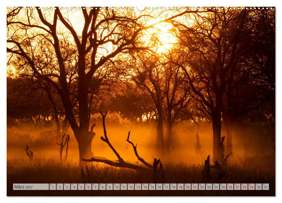 Okavango! Atemberaubende Naturschönheit im größten Binnendelta der Welt (CALVENDO Wandkalender 2027)