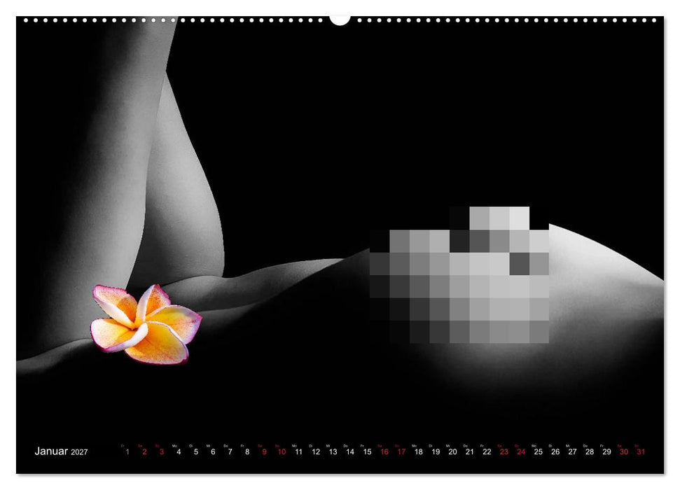 Erotik Art etwas Blumig POMBASTISCH (CALVENDO Premium Wandkalender 2027)