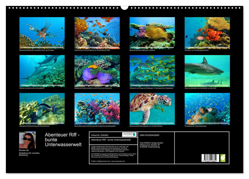 Abenteuer Riff - bunte Unterwasserwelt (CALVENDO Wandkalender 2027)