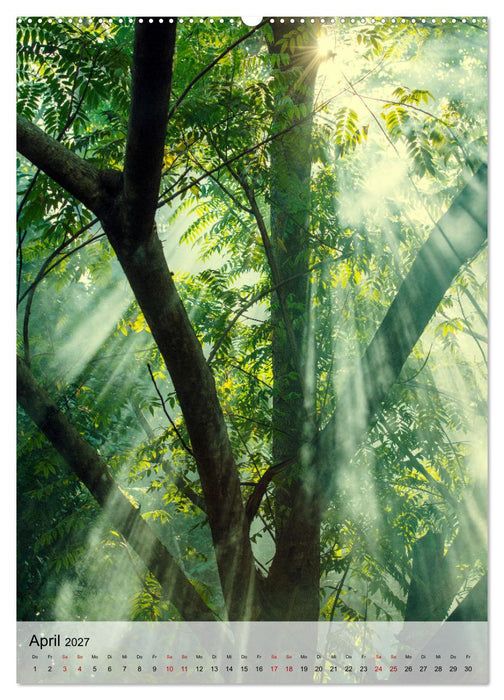 MADAGASKAR: Baobabs, Lemuren, Naturwunder (CALVENDO Premium Wandkalender 2027)