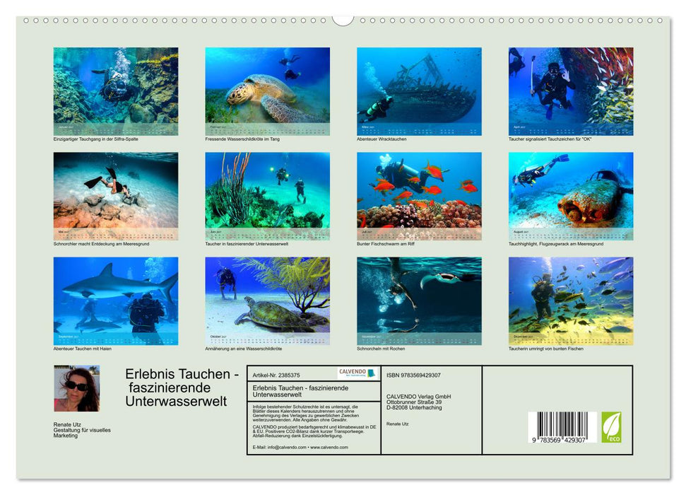 Erlebnis Tauchen - faszinierende Unterwasserwelt (CALVENDO Premium Wandkalender 2027)