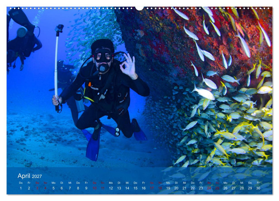 Erlebnis Tauchen - faszinierende Unterwasserwelt (CALVENDO Premium Wandkalender 2027)
