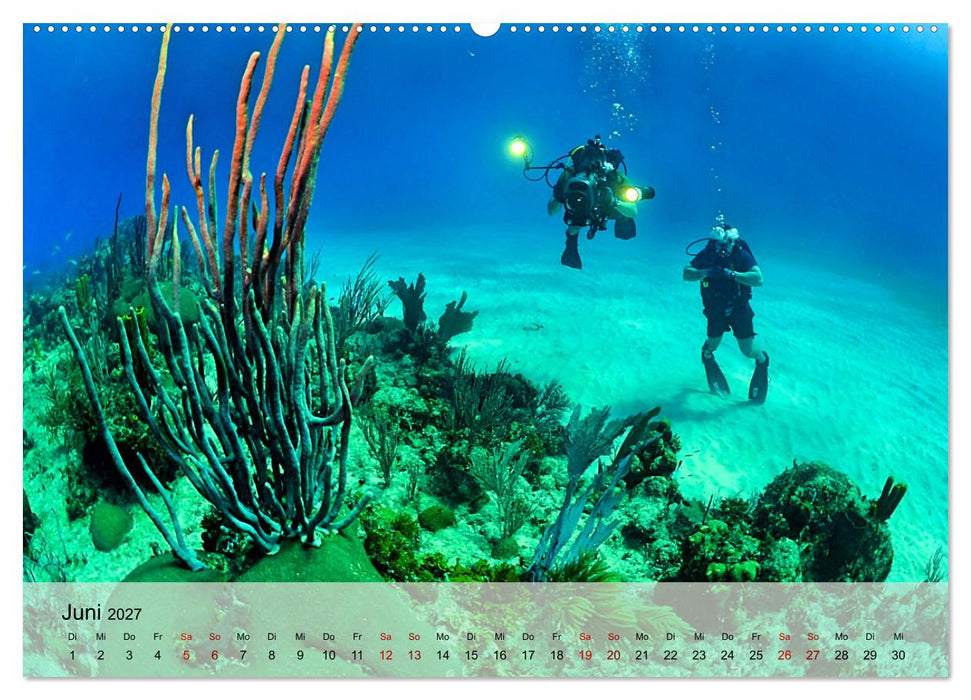 Erlebnis Tauchen - faszinierende Unterwasserwelt (CALVENDO Premium Wandkalender 2027)