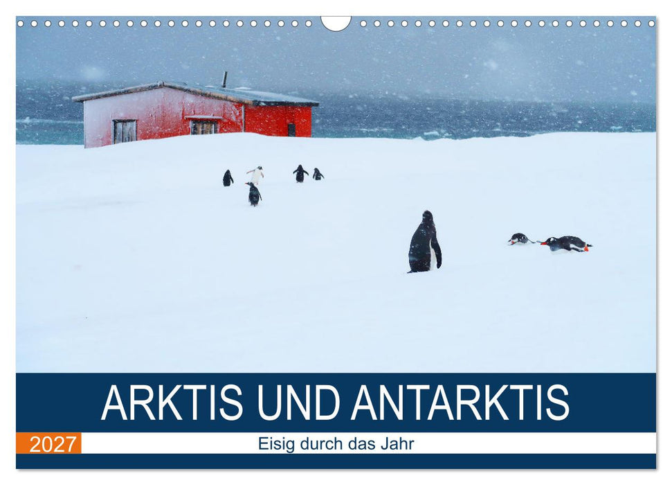 Arktis und Antarktis - Eisig durch das Jahr (CALVENDO Wandkalender 2027)