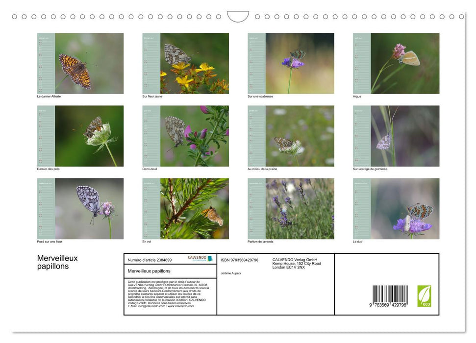 Merveilleux papillons (CALVENDO Calendrier mensuel 2027)