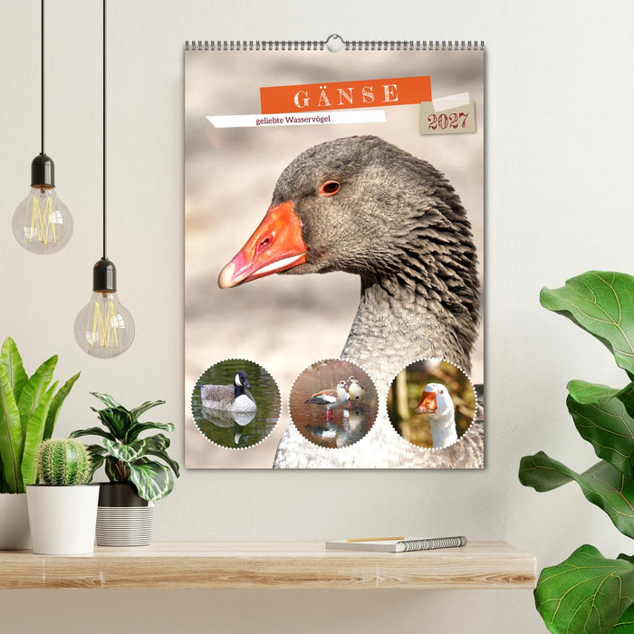 Gänse, geliebte Wasservögel (CALVENDO Wandkalender 2027)