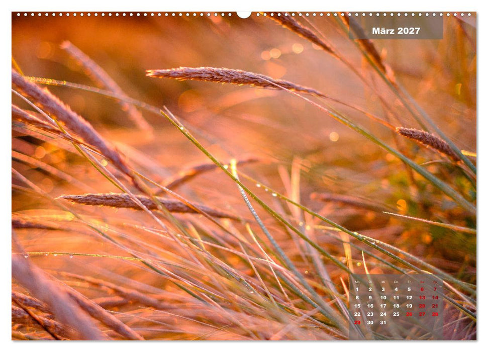 feeling Sylt (CALVENDO Wandkalender 2027)