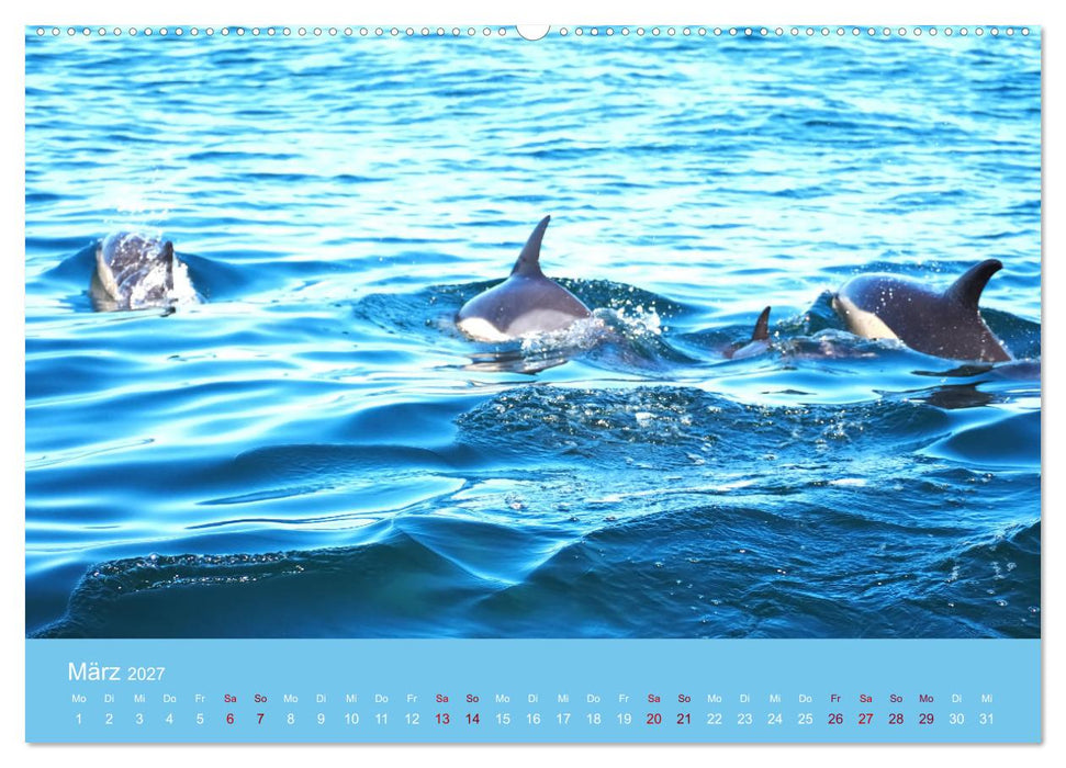 Natürlich Delfine (CALVENDO Premium Wandkalender 2027)