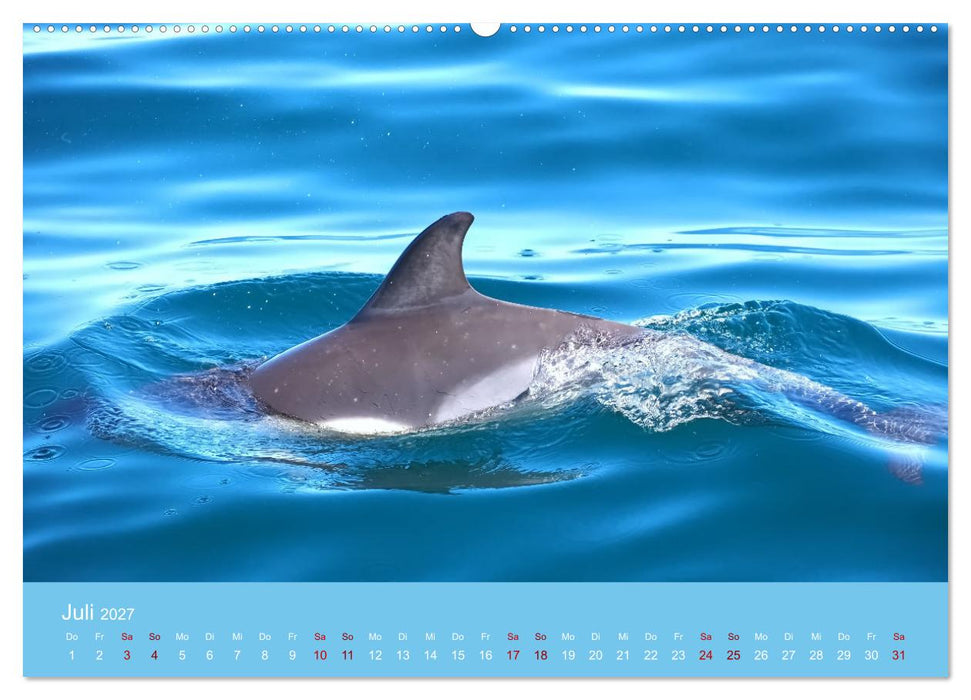 Natürlich Delfine (CALVENDO Premium Wandkalender 2027)