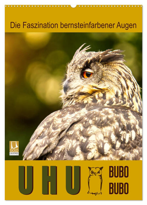 Uhu, die Faszination bernsteinfarbener Augen (CALVENDO Wandkalender 2027)