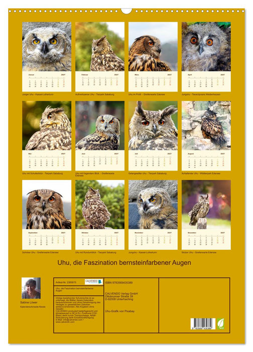 Uhu, die Faszination bernsteinfarbener Augen (CALVENDO Wandkalender 2027)