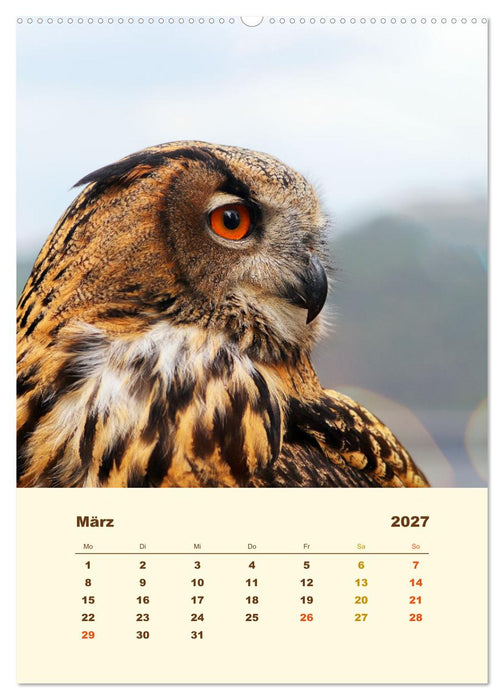 Uhu, die Faszination bernsteinfarbener Augen (CALVENDO Wandkalender 2027)