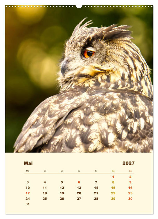 Uhu, die Faszination bernsteinfarbener Augen (CALVENDO Wandkalender 2027)
