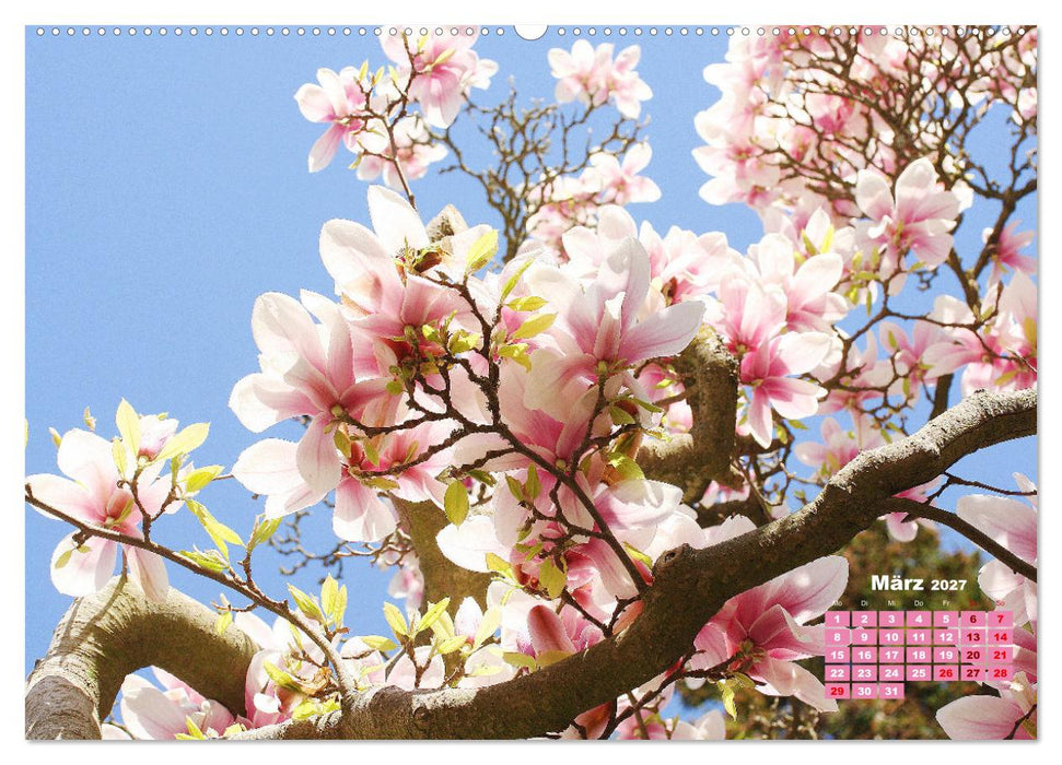 Urlaub im Garten (CALVENDO Premium Wandkalender 2027)