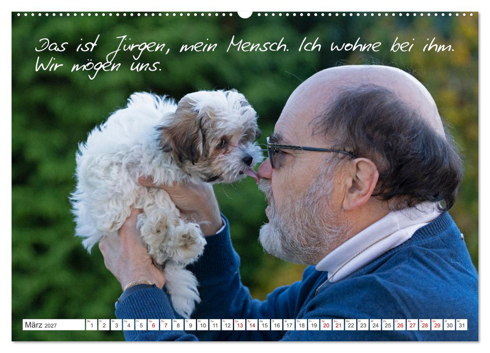 Hallo, ich bin Lilly (CALVENDO Premium Wandkalender 2027)