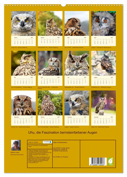 Uhu, die Faszination bernsteinfarbener Augen (CALVENDO Premium Wandkalender 2027)