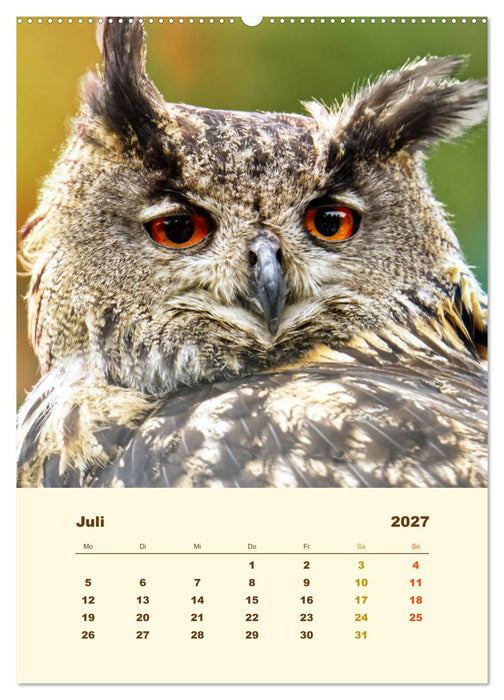 Uhu, die Faszination bernsteinfarbener Augen (CALVENDO Premium Wandkalender 2027)