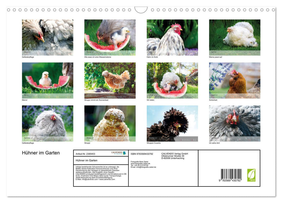 Hühner im Garten (CALVENDO Wandkalender 2027)
