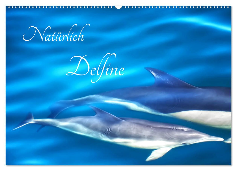 Natürlich Delfine (CALVENDO Wandkalender 2027)