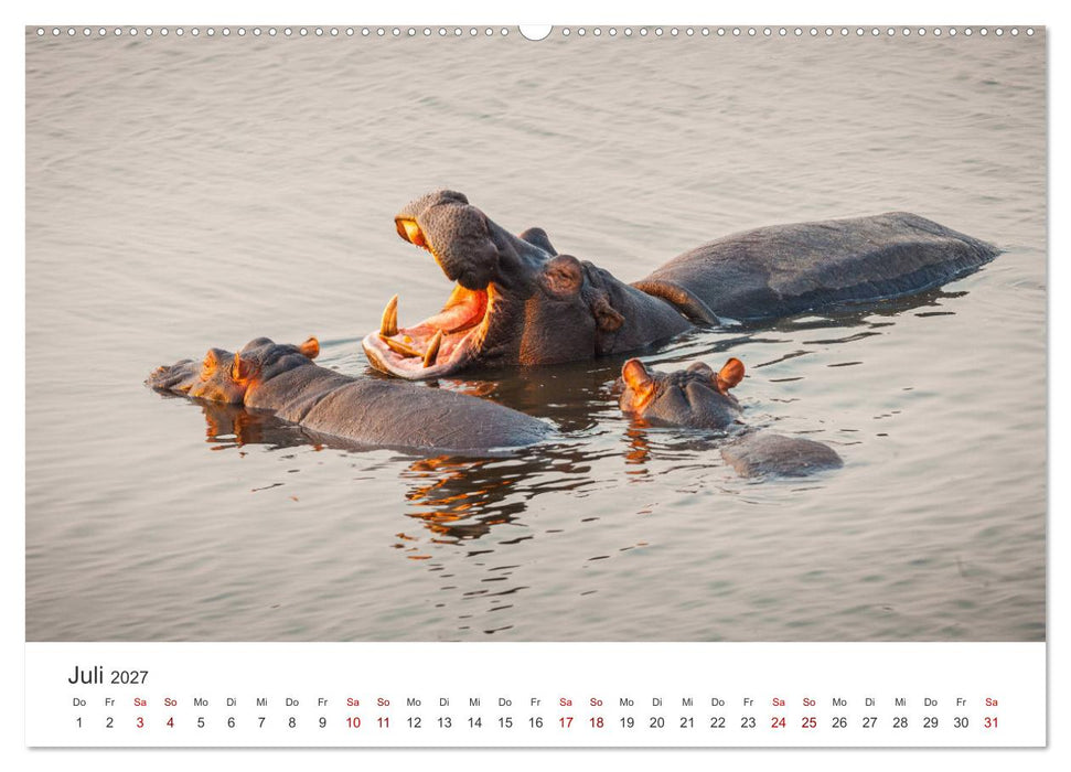 Botswana - Eine spannende Reise in ein wunderschönes Land. (CALVENDO Premium Wandkalender 2027)