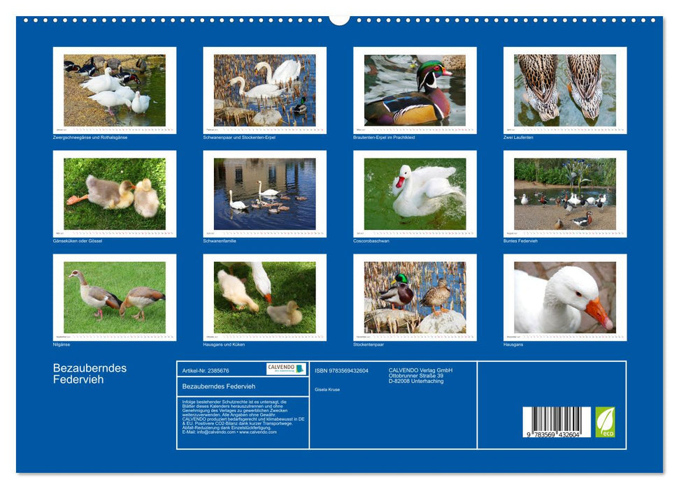 Bezauberndes Federvieh (CALVENDO Wandkalender 2027)